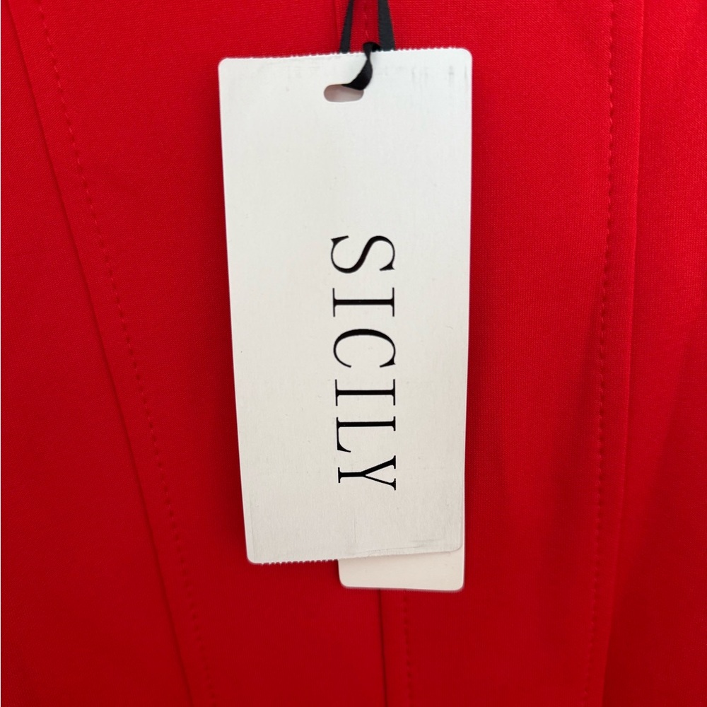 Red long sleeve dress, skater style. New with tags.